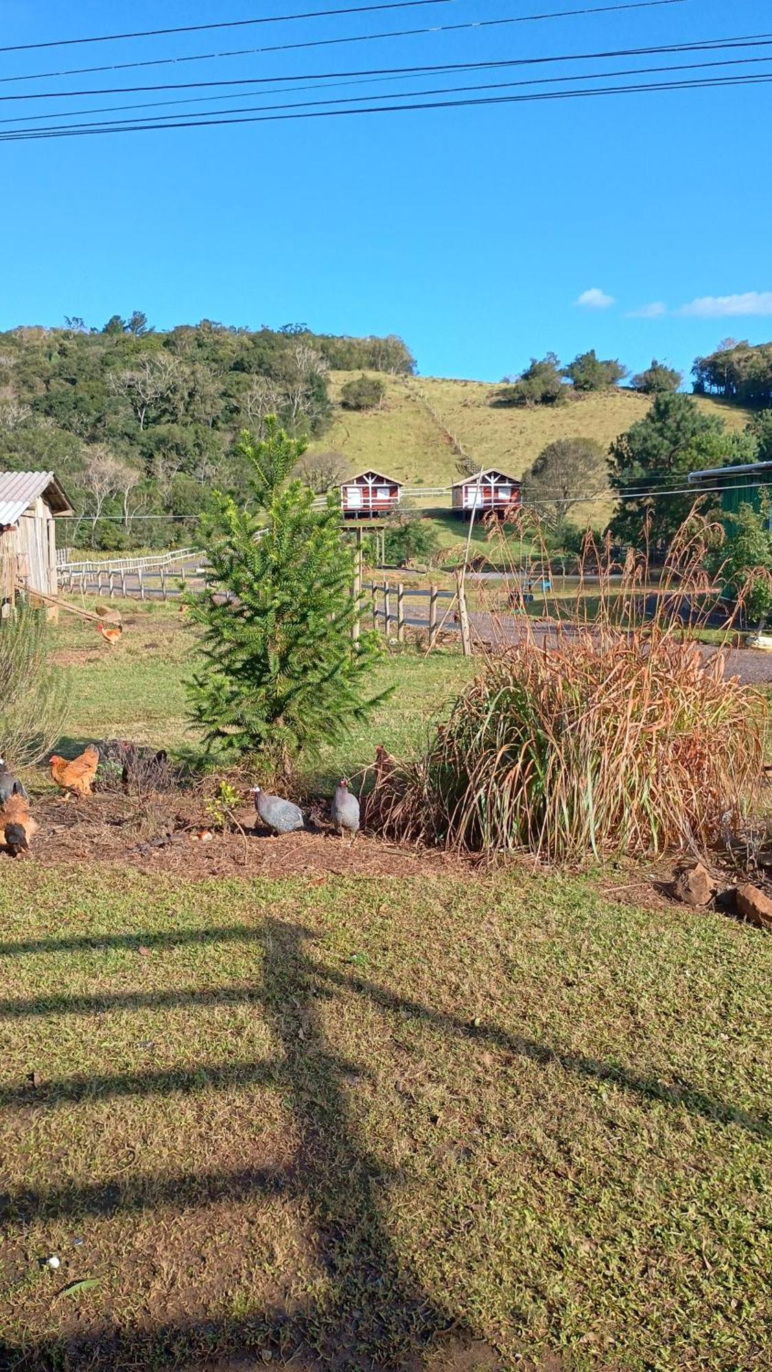 Rancho Do Chalet *