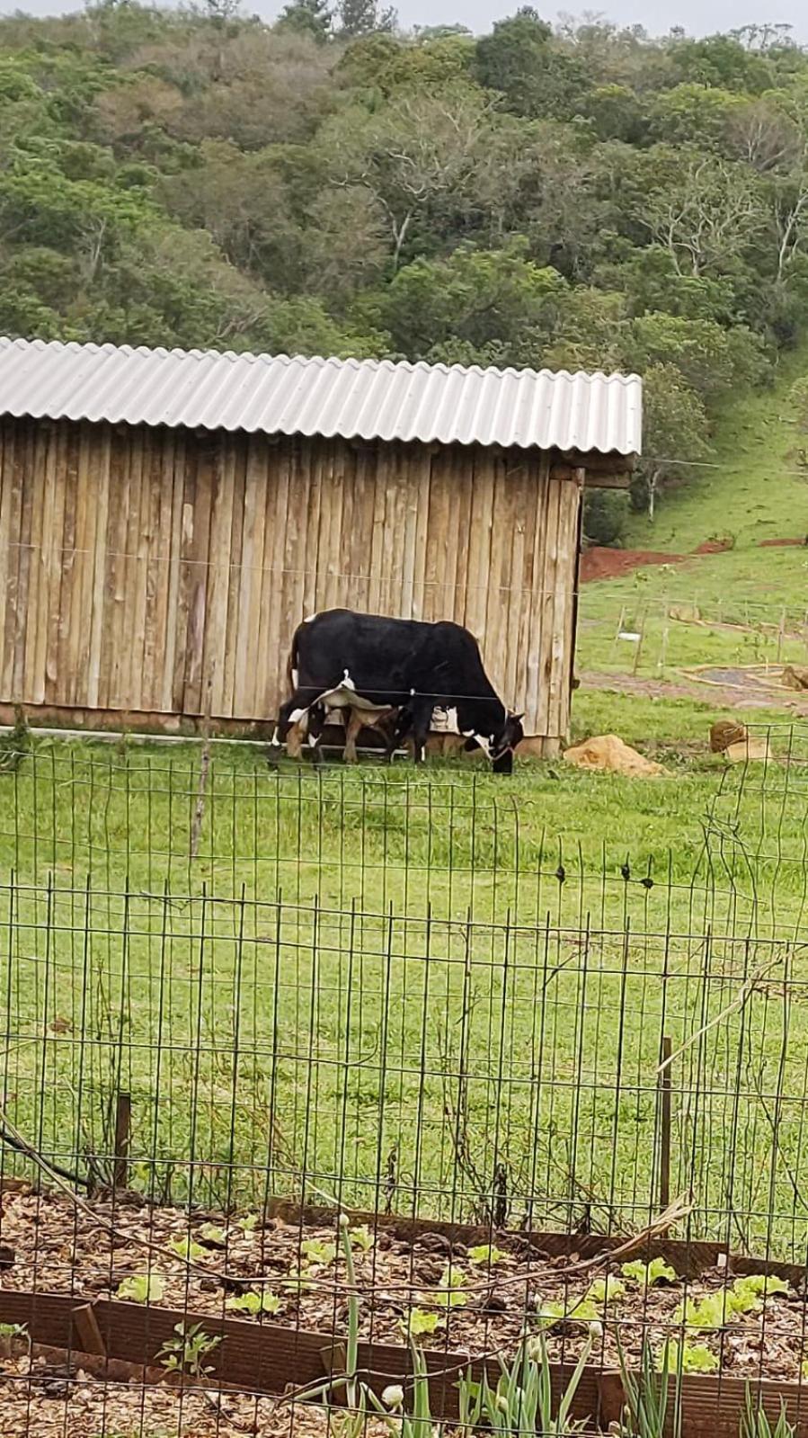 Rancho Do * Osorio