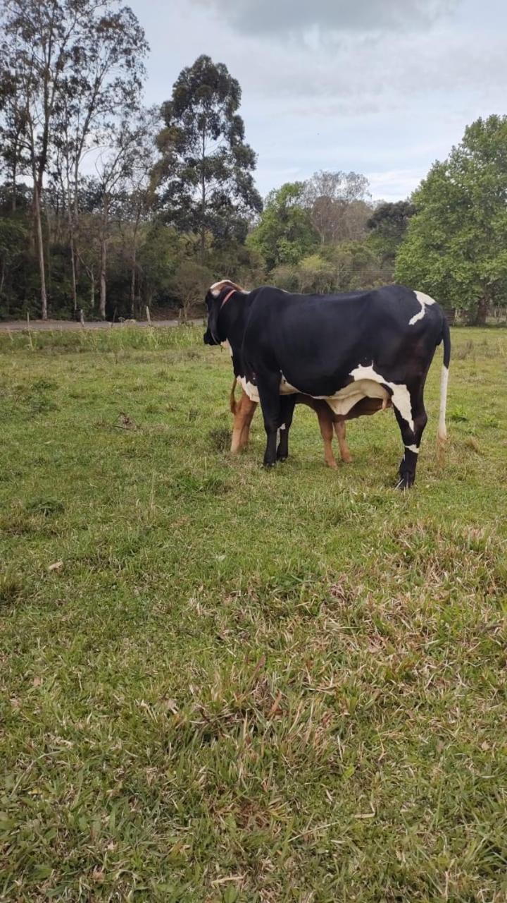 Rancho Do Chalé Osorio